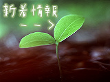 新着情報